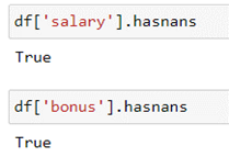 Using .hasnans method